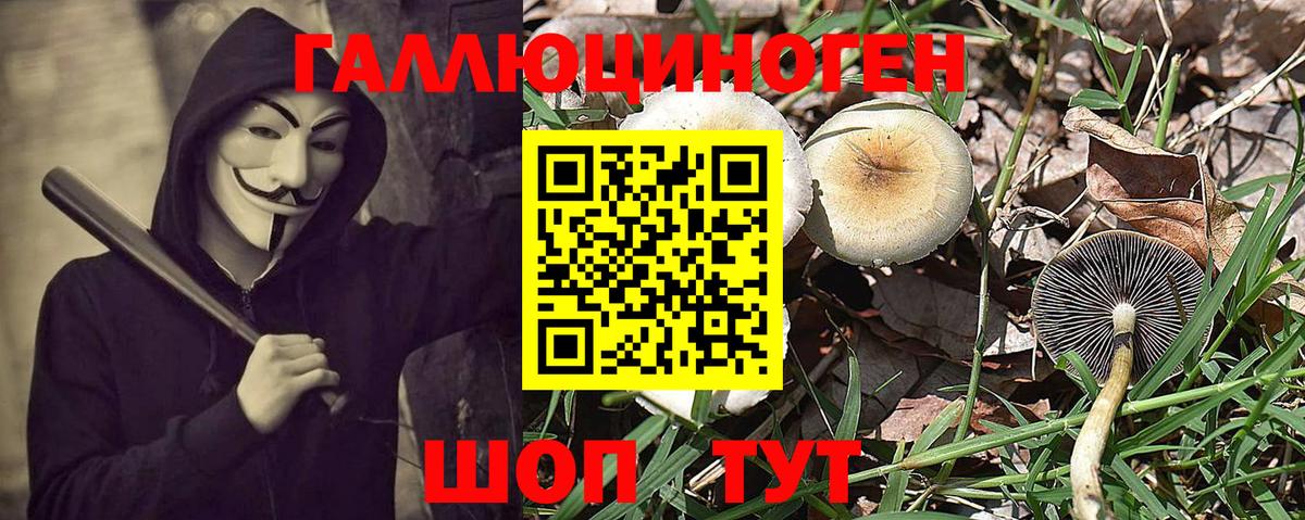 Каннабис Зерноград