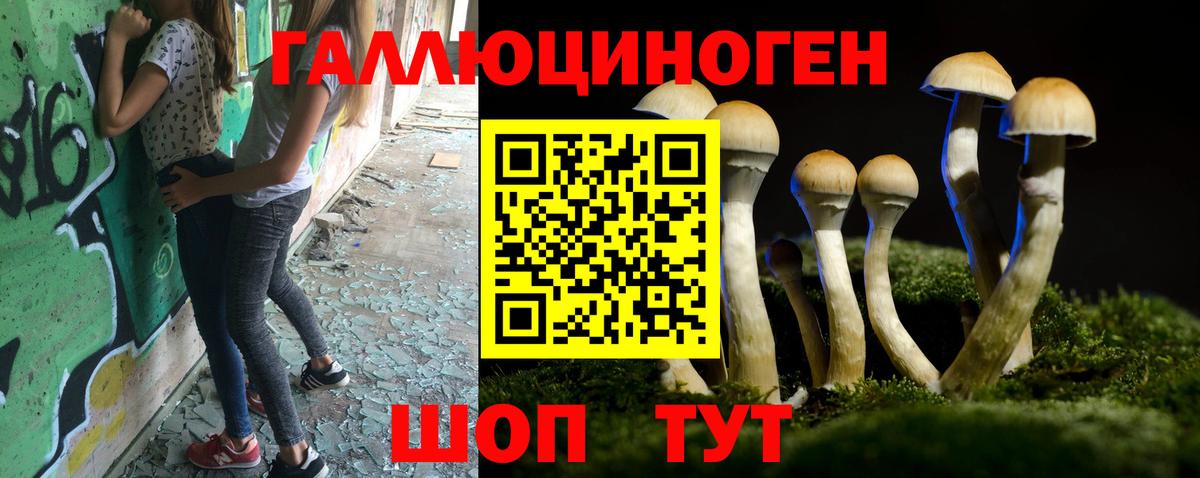 Галлюциногенные грибы Psilocybine cubensis Зерноград